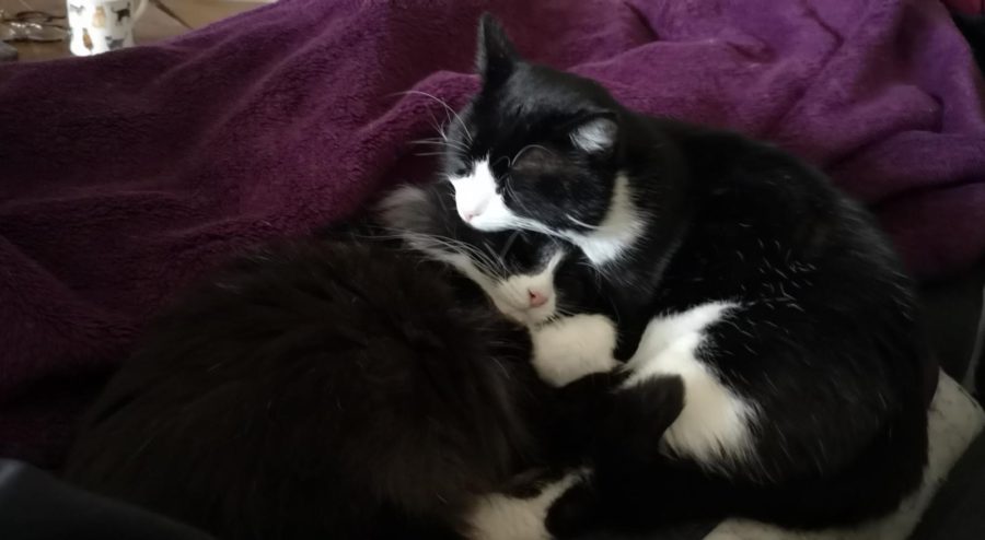 George and Gilbert