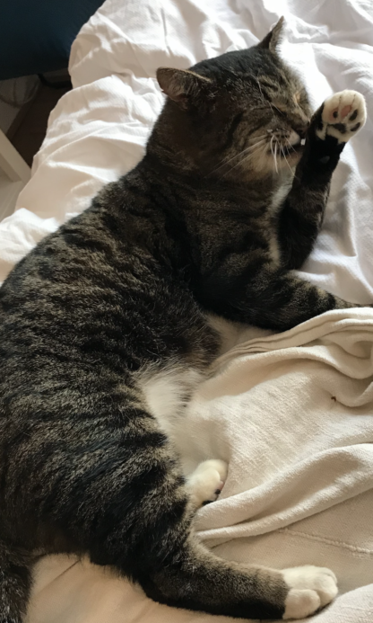Peter