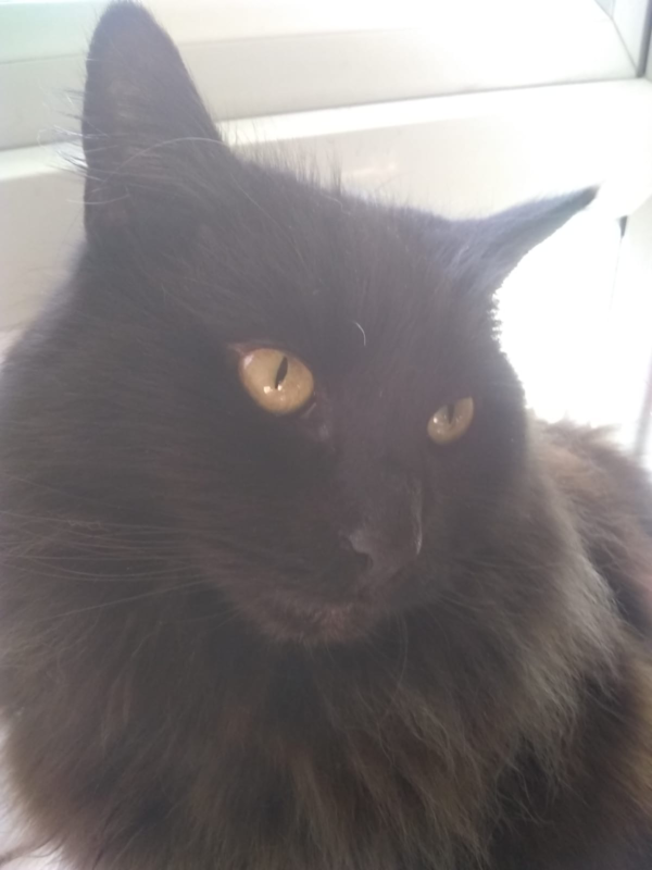 Charlie