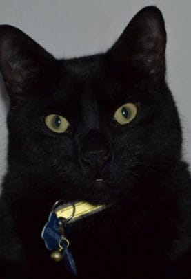 Ron