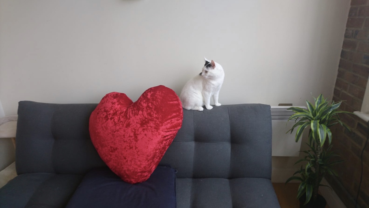 Vinnie