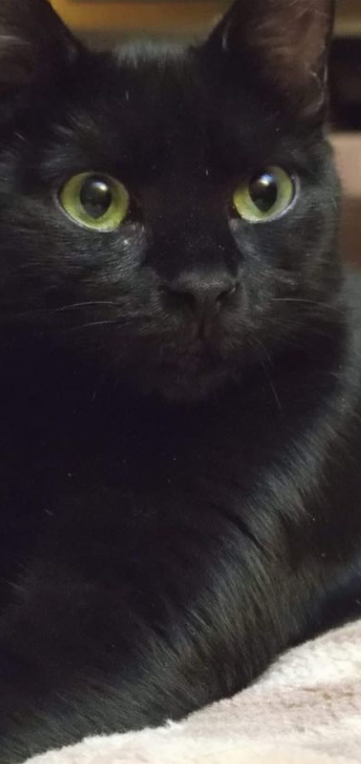 Betty