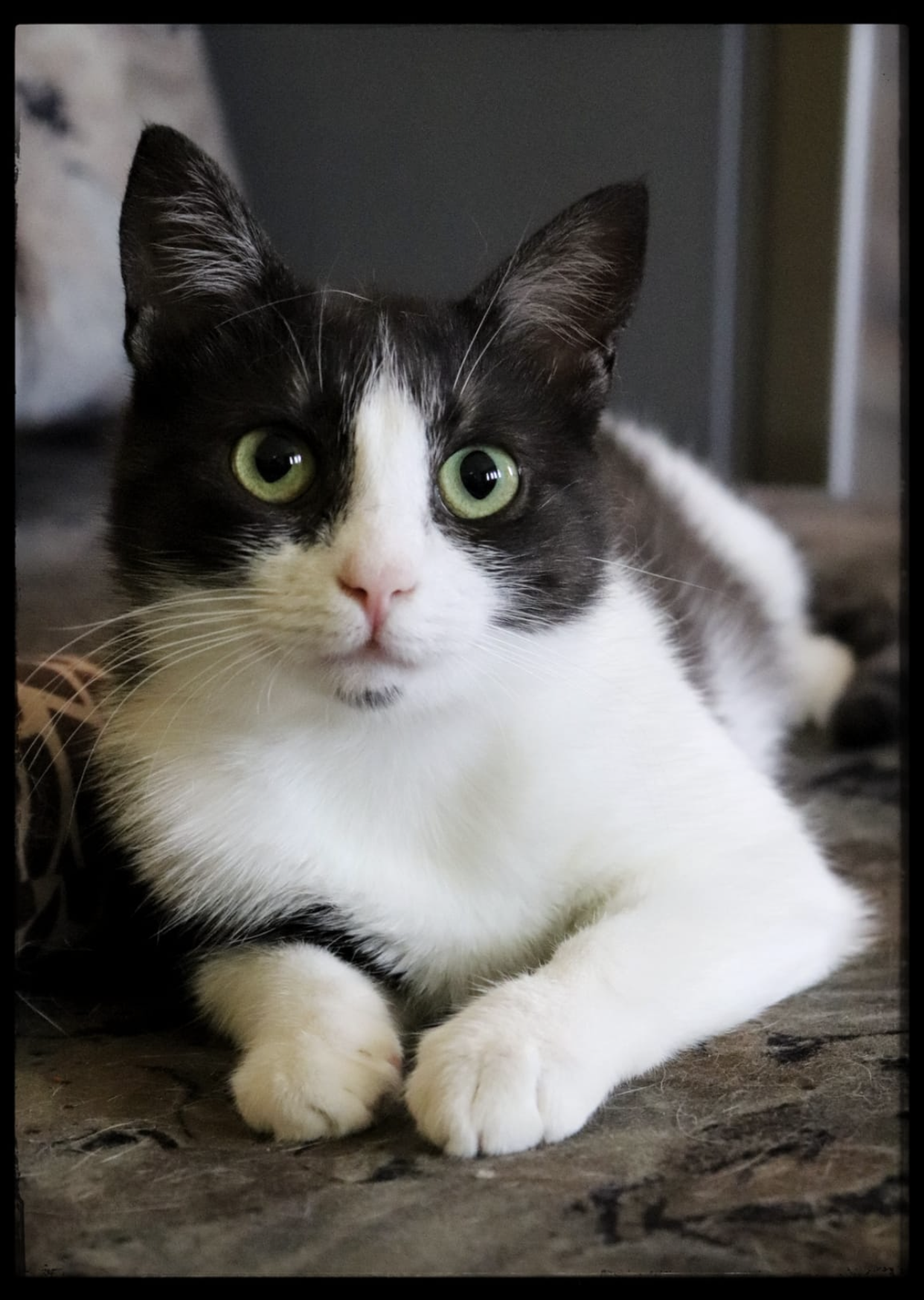 Doris