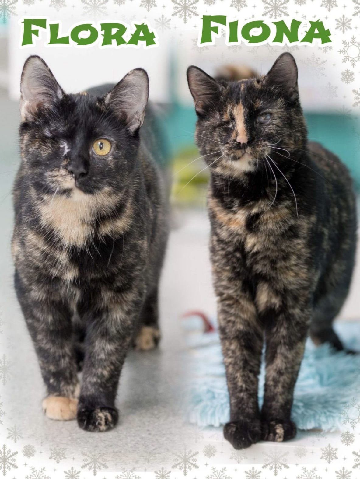 Flora and Fiona